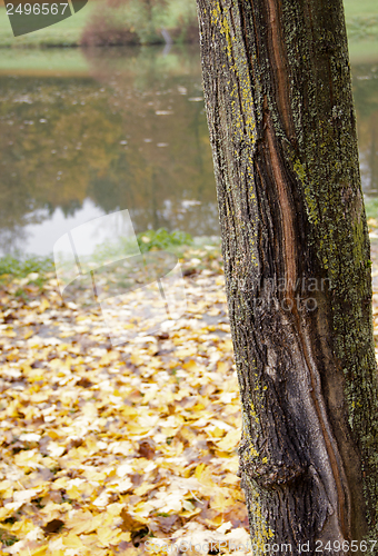 Image of autumn scenery