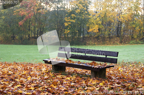 Image of wooden bench