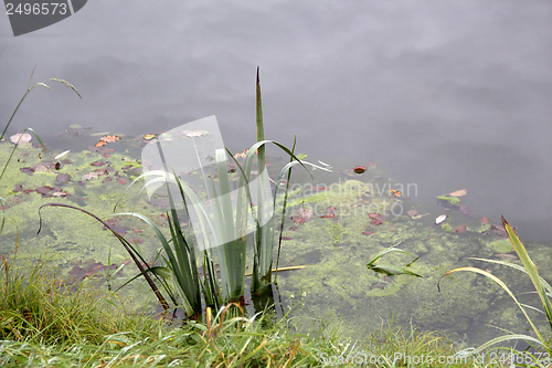 Image of waterside scenery