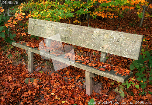 Image of wooden bench