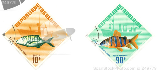 Image of Exotic fish on post stamps