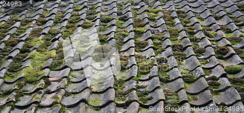 Image of roof