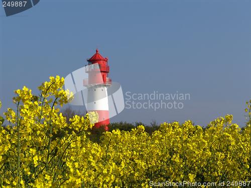 Image of lighthouse behind rape