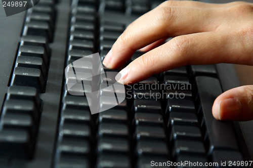 Image of Typing businesswoman