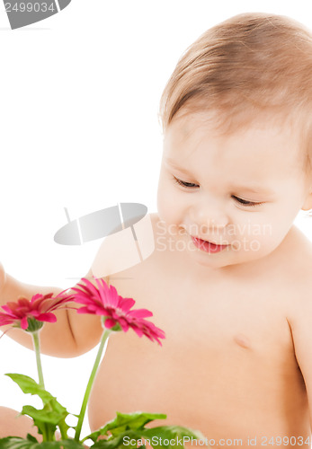 Image of cute little boy playing with flower