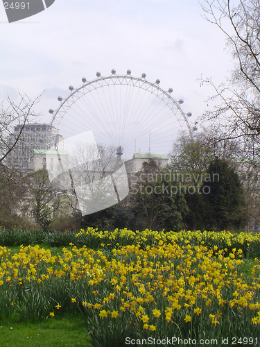 Image of Hyde Park and the London Eye