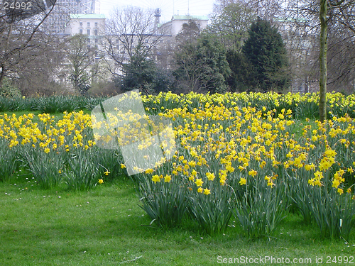 Image of Hyde Park, London