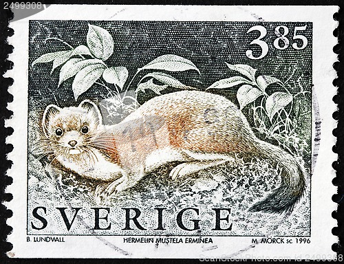 Image of Stoat Stamp