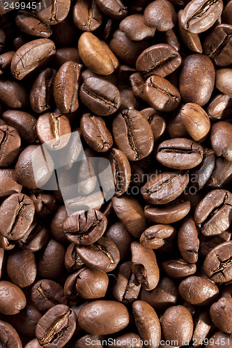 Image of coffee beans roasted
