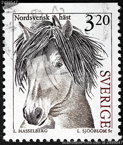Image of Swedish Horse Stamp