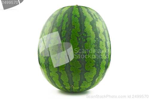 Image of Large watermelon