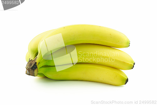 Image of Bunch of delicious bananas