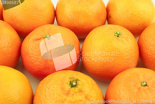 Image of Lots of mandarins