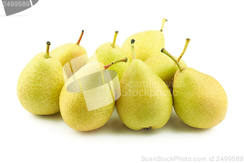 Image of Lots of yellow pears