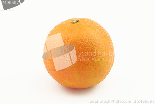 Image of One mandarin