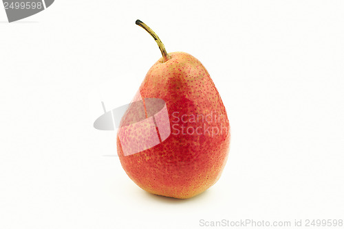 Image of One red pear