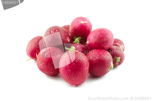 Image of Radish on white