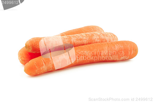 Image of Three fresh carrots
