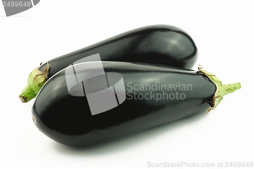 Image of Two ripe eggplants 