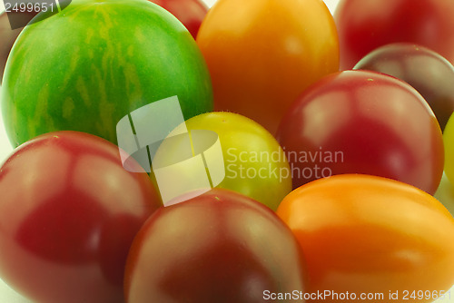 Image of Various tomatoes closeup