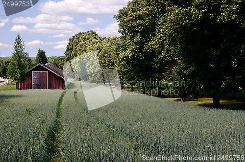 Image of old barn is standing in the field