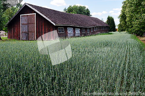 Image of old barn in the field, Finland 