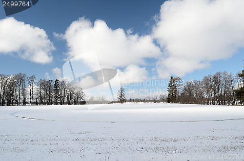 Image of winter landscape, a field covered with snow