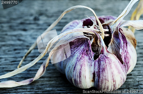 Image of two heads of garlic 