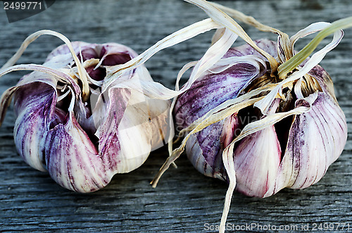 Image of two heads of garlic 