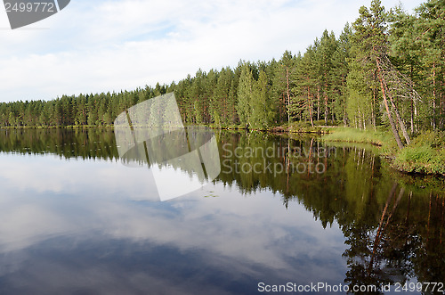 Image of landscape of the forest lake in summer