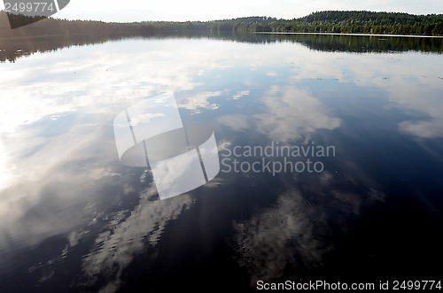 Image of landscape of the forest lake in summer