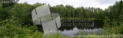 Image of landscape of the forest lake in summer