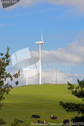 Image of Wind Turbines Generating Electricity