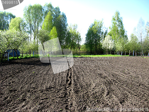Image of kitchen garden ready for planting of potato