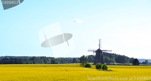 Image of Rapeseed field with mill