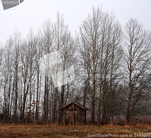 Image of Old store house among trees