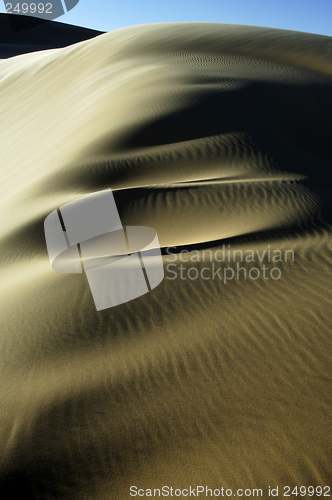 Image of Great Sand Sea
