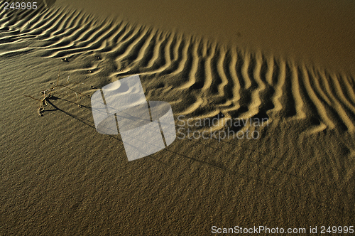 Image of Great Sand Sea