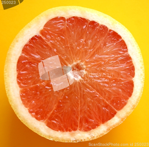 Image of Grapefruit