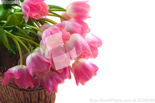 Image of Bright flowers in basket