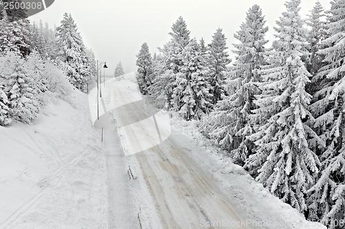 Image of Snowy Highway