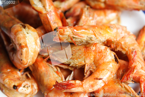 Image of Shrimps