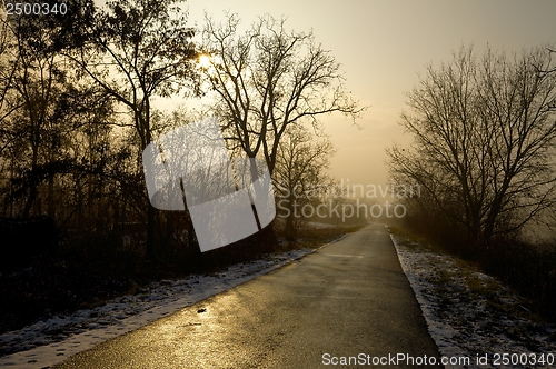 Image of Long road