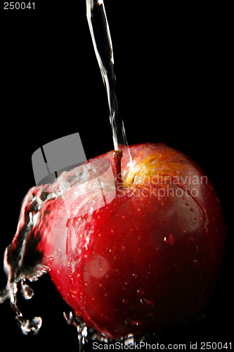 Image of Apple and Water