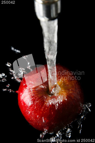 Image of Apple and Water