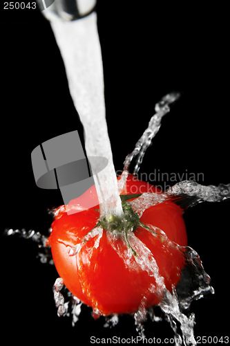 Image of Tomato and Water