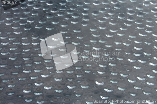 Image of Water drops