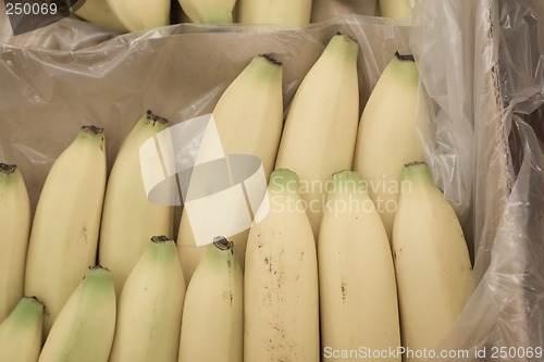 Image of Bananas