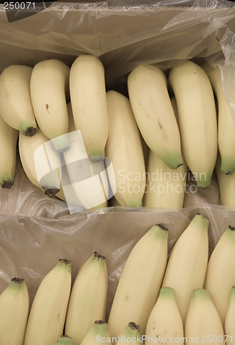 Image of Bananas