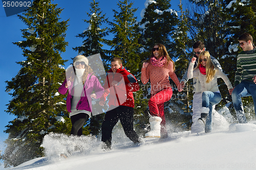 Image of friends have fun at winter on fresh snow